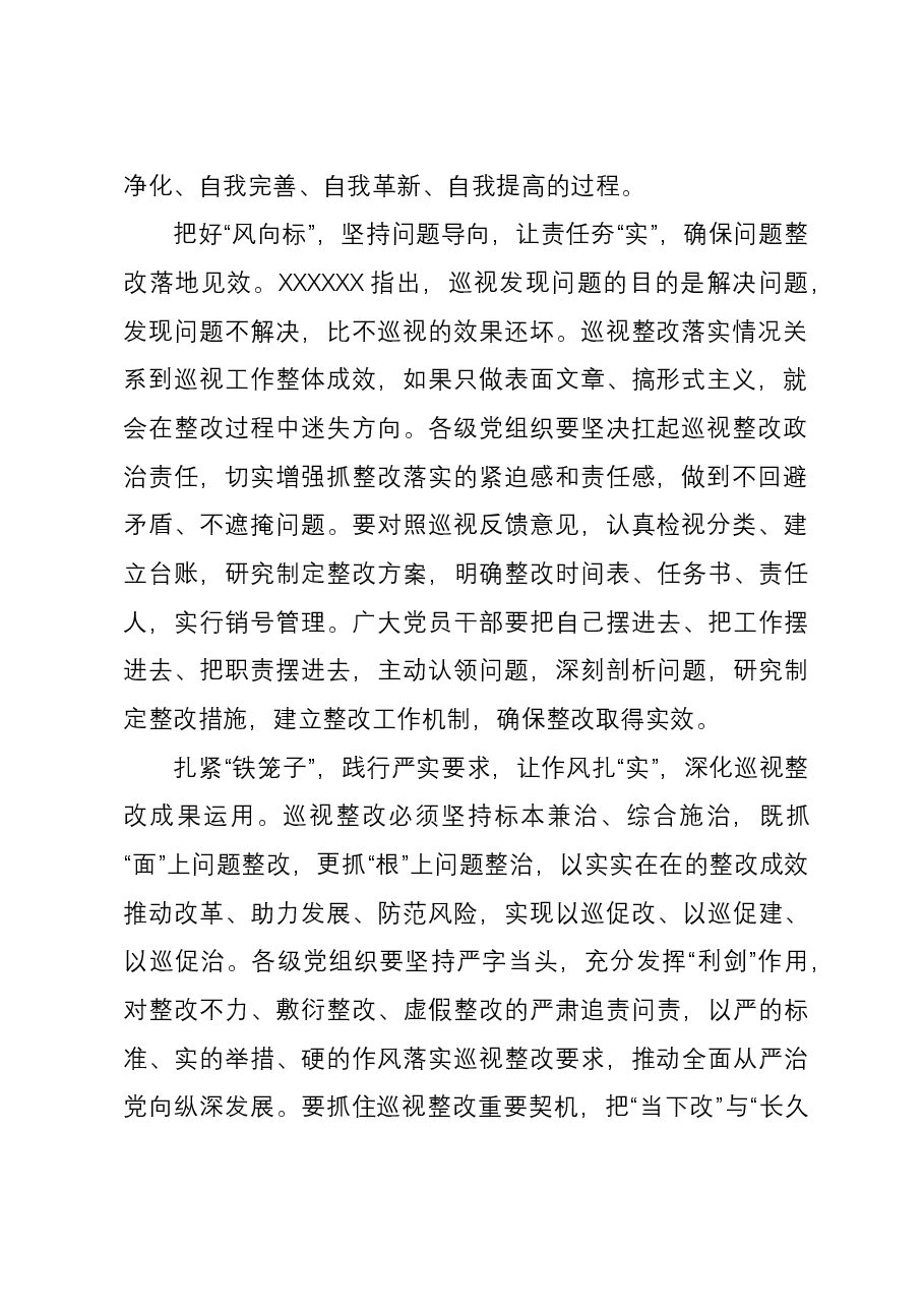 学习新修订的《中国共产党巡视工作条例》研讨发言.docx,第2页预览