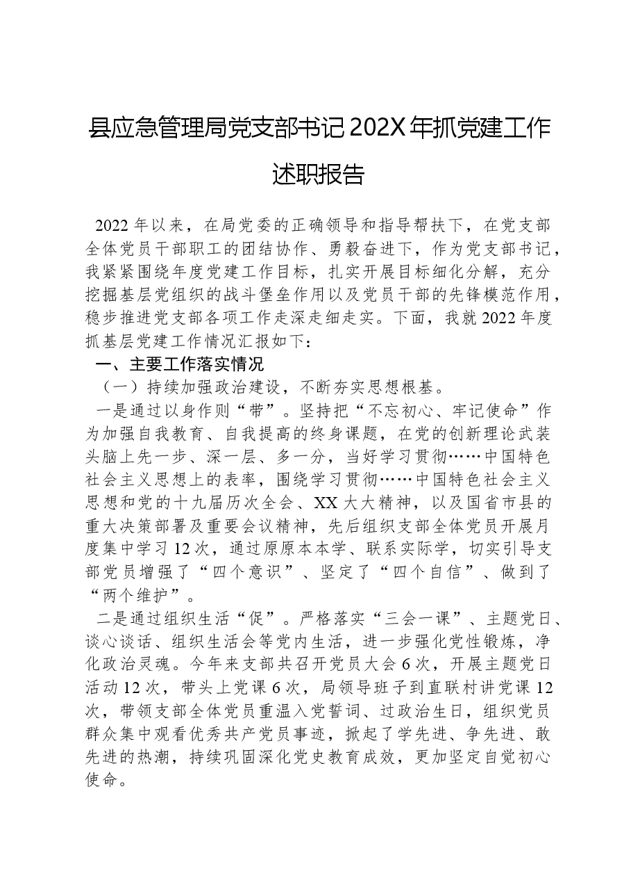 县应急管理局党支部书记202X年抓党建工作述职报告.docx,第1页预览
