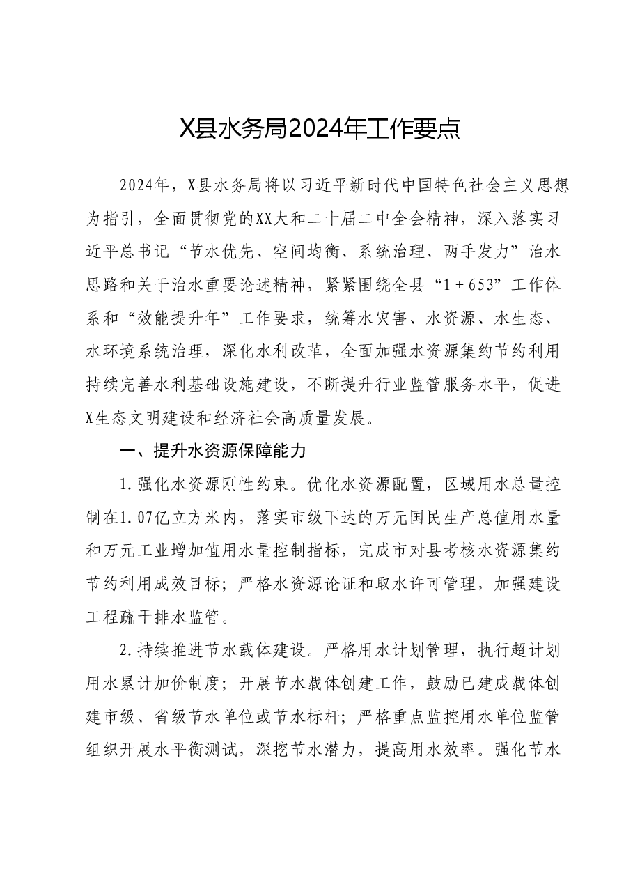 X县水务局2024年工作要点.docx，第1页预览