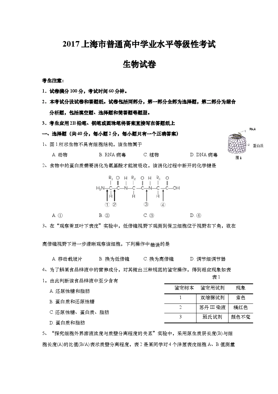 2017年上海市高中毕业统一学业考试生物试卷(答案版).docx,第1页预览