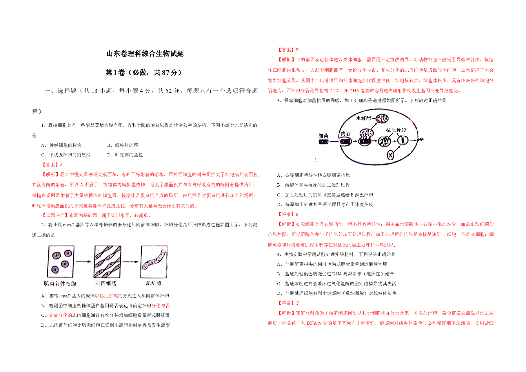 2013年高考真题 生物(山东卷)(含解析版).docx,第1页预览