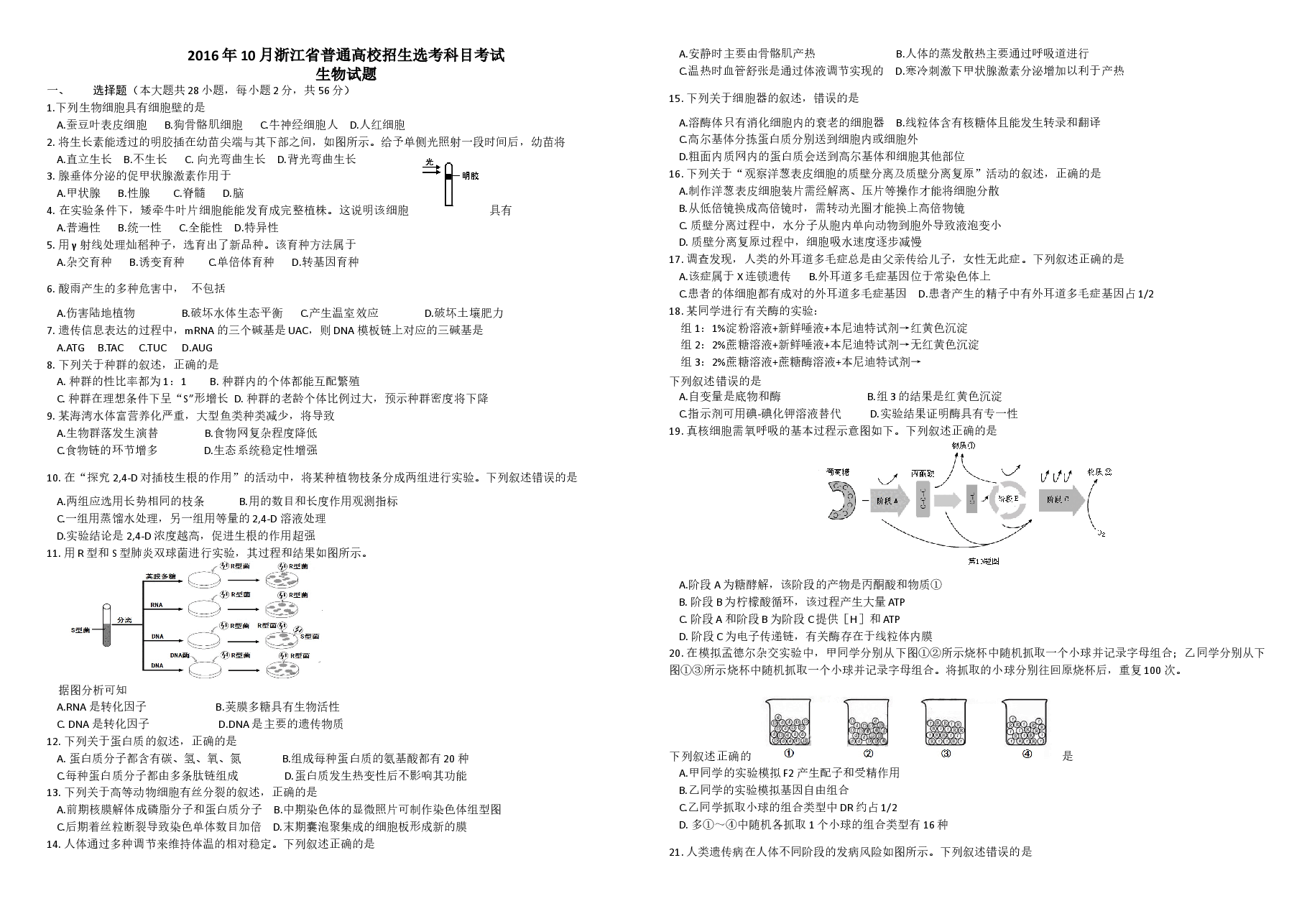 2016年浙江省高考生物【10月】(原卷版).docx,第1页预览