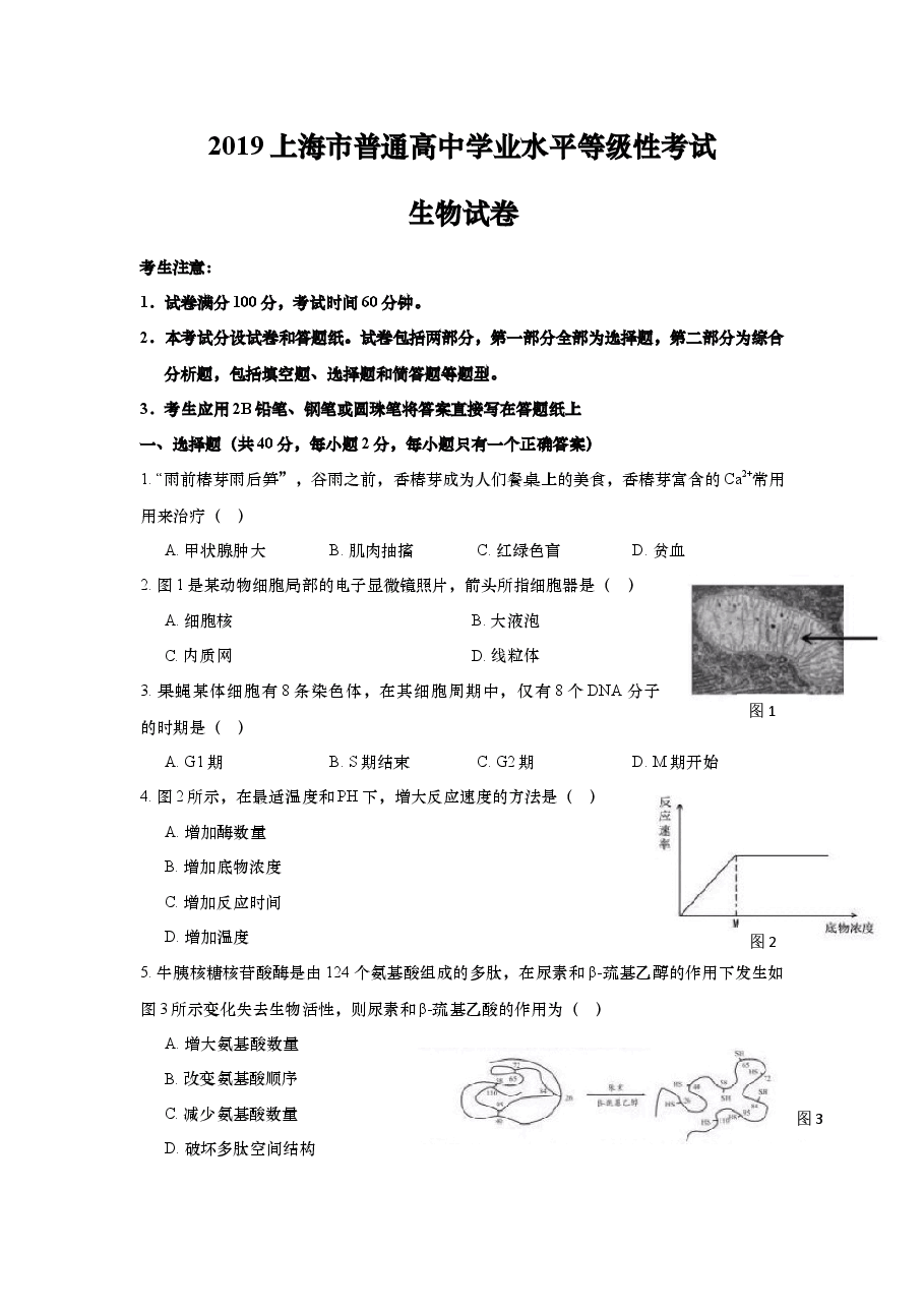 2019年上海市高中毕业统一学业考试生物试卷(原卷版).docx,第1页预览
