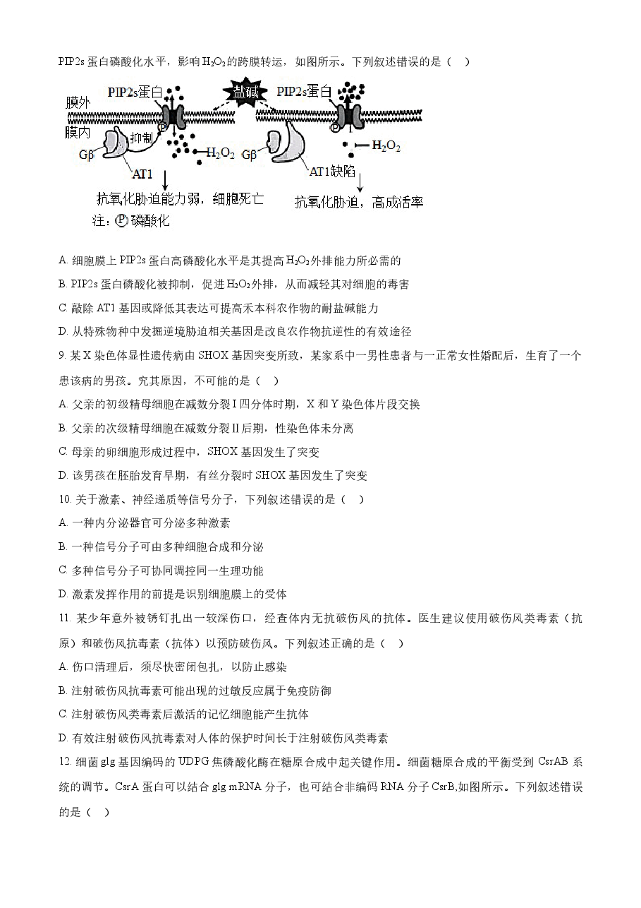 精品解析:2023年新教材高考湖南卷生物(原卷版).docx,第3页预览