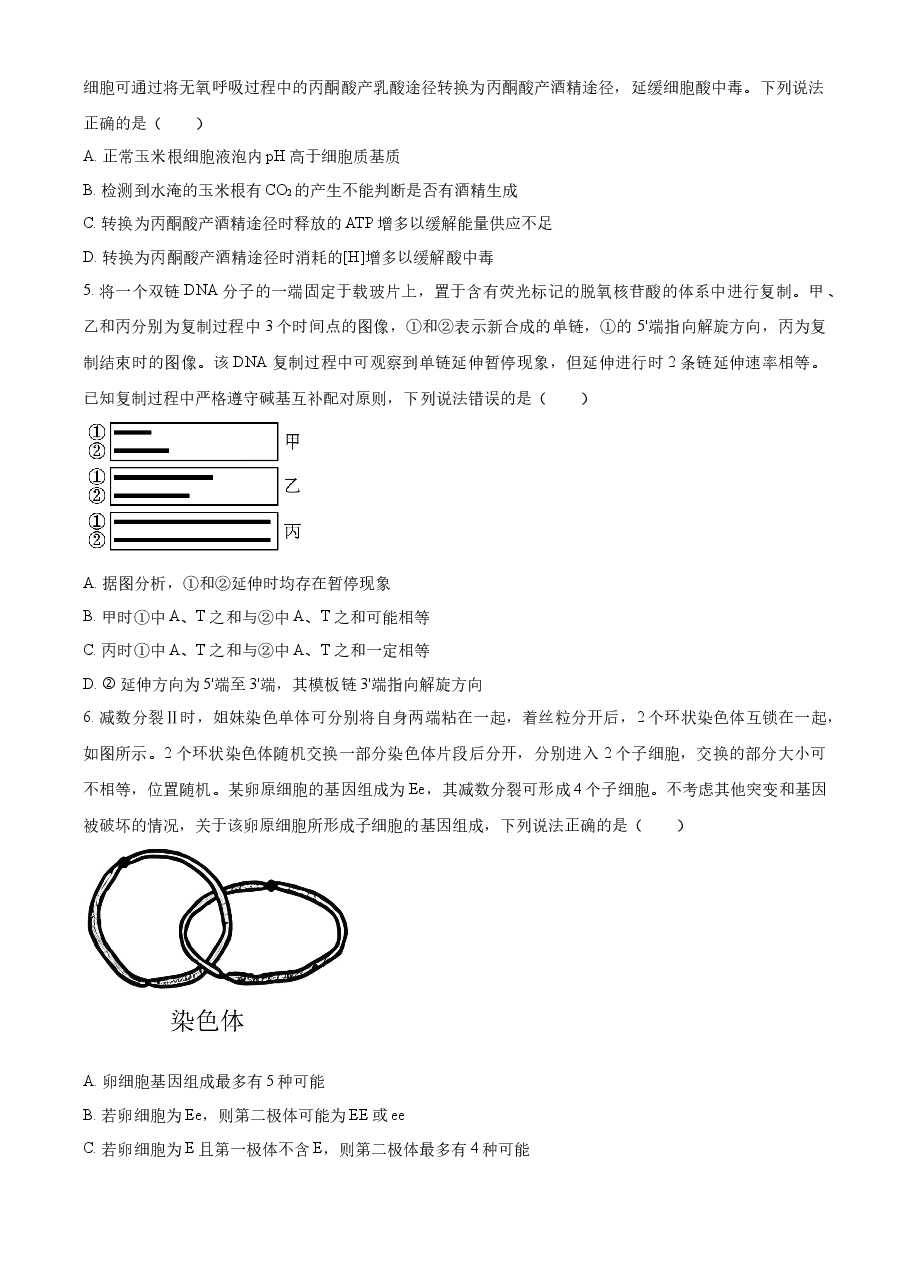 精品解析:2023年新教材山东高考真题生物试卷(原卷版).docx,第2页预览