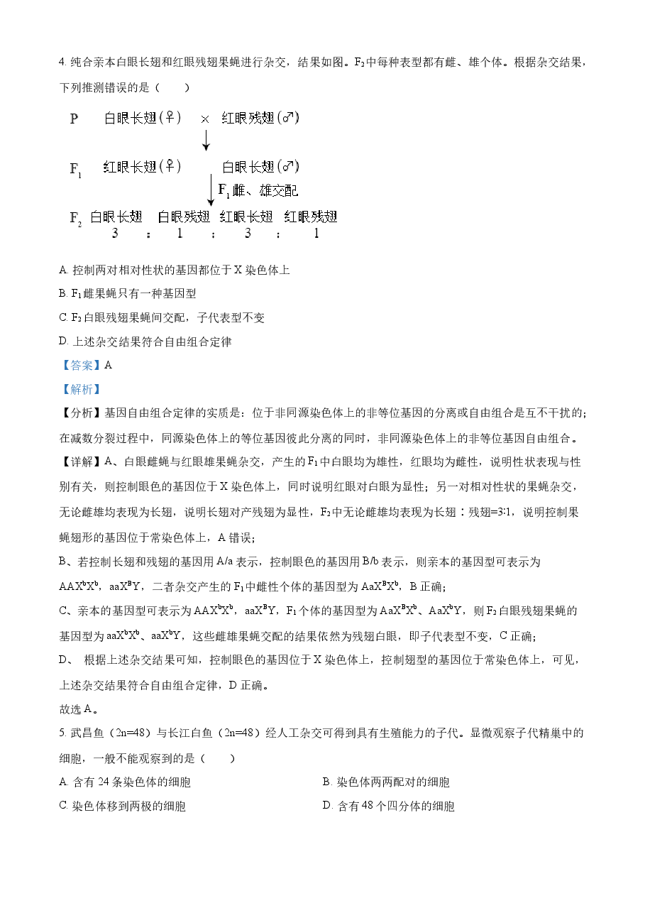精品解析：2023年北京高考生物真题（解析版）.docx，第3页预览