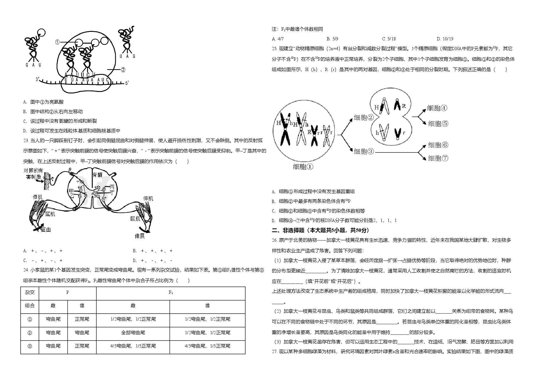 2021年浙江省高考生物【1月】（原卷版）.doc，第3页预览