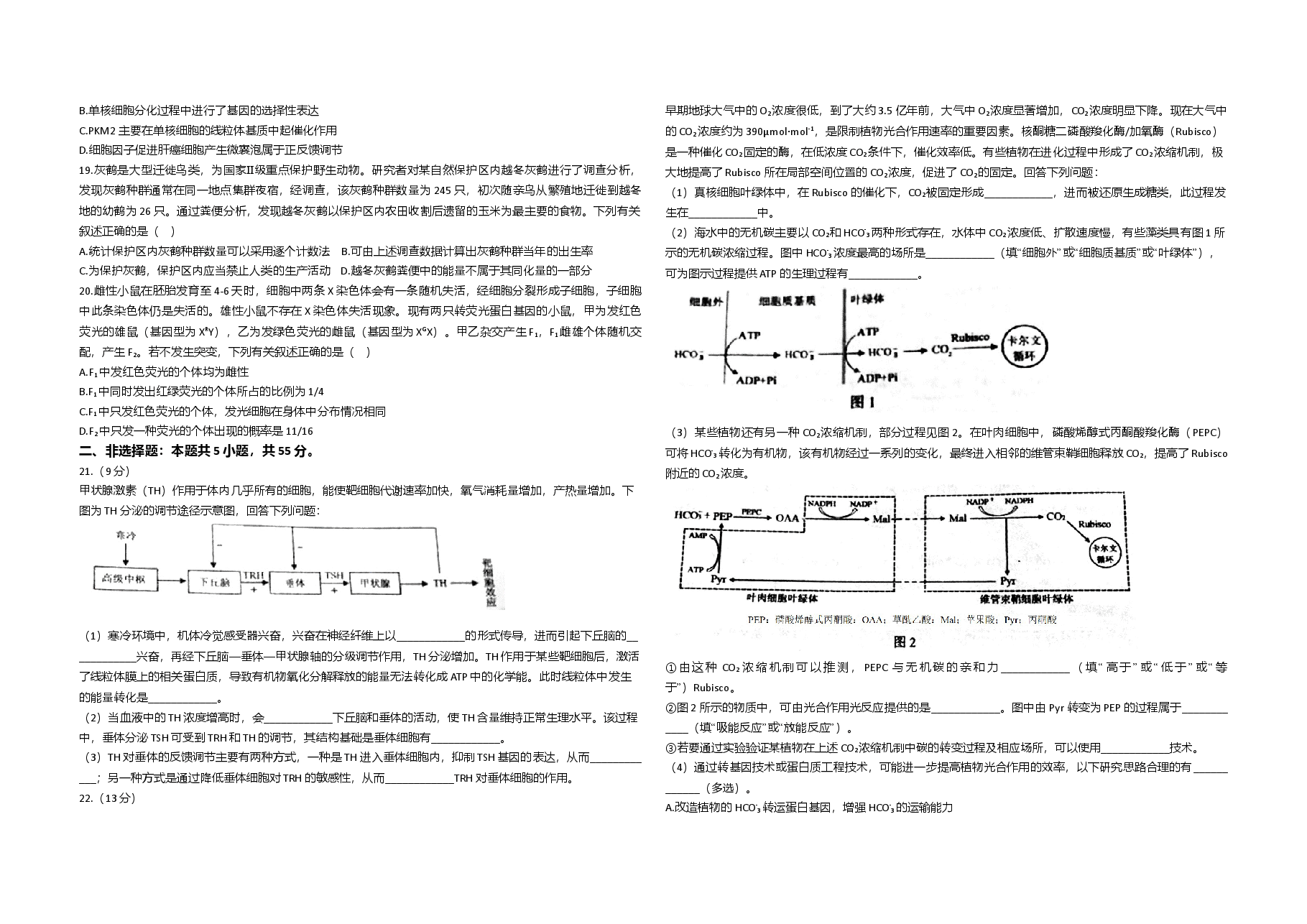 2021年高考生物试卷(辽宁卷)(原卷版).doc,第3页预览