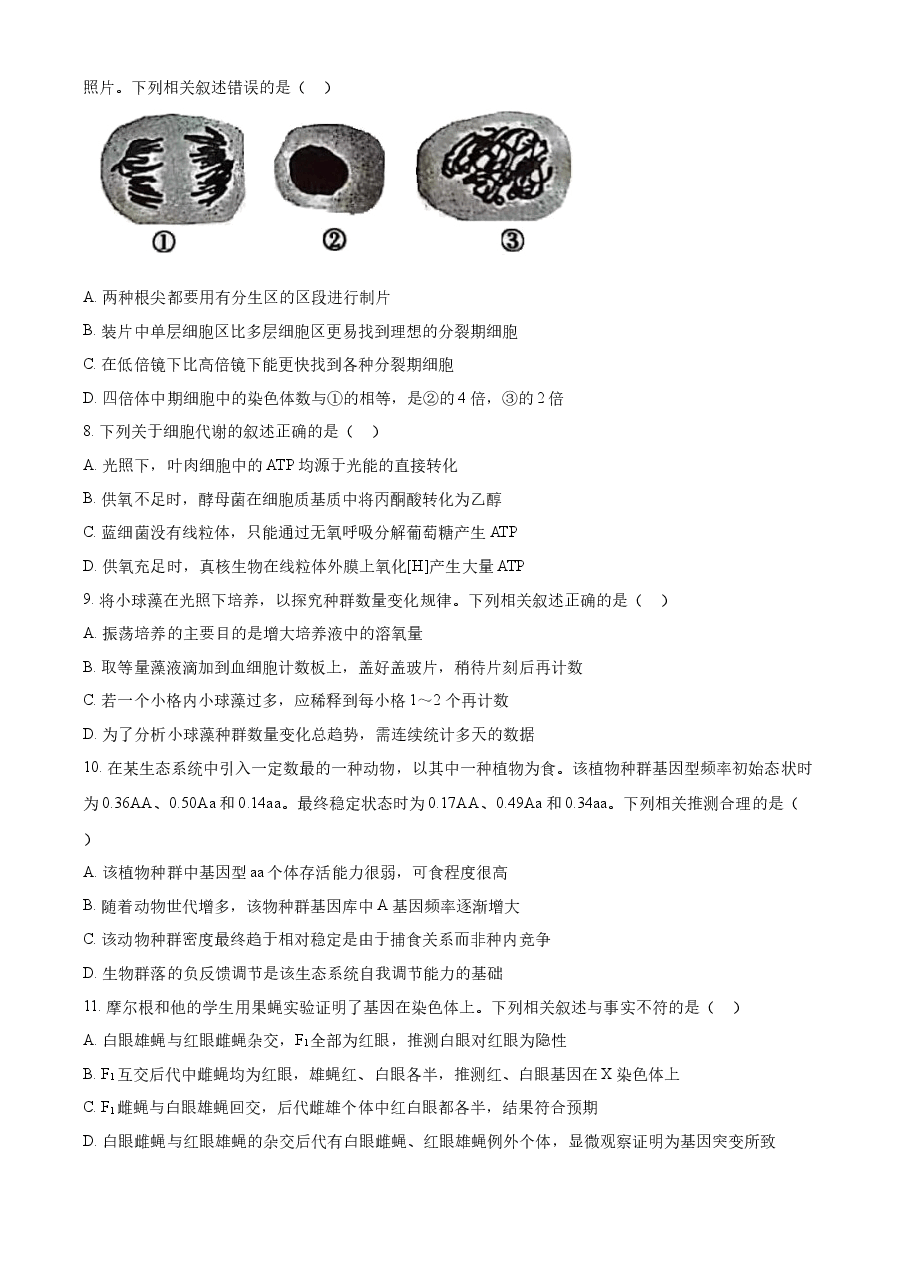 精品解析:2022年新教材江苏生物高考真题(原卷版).docx,第2页预览