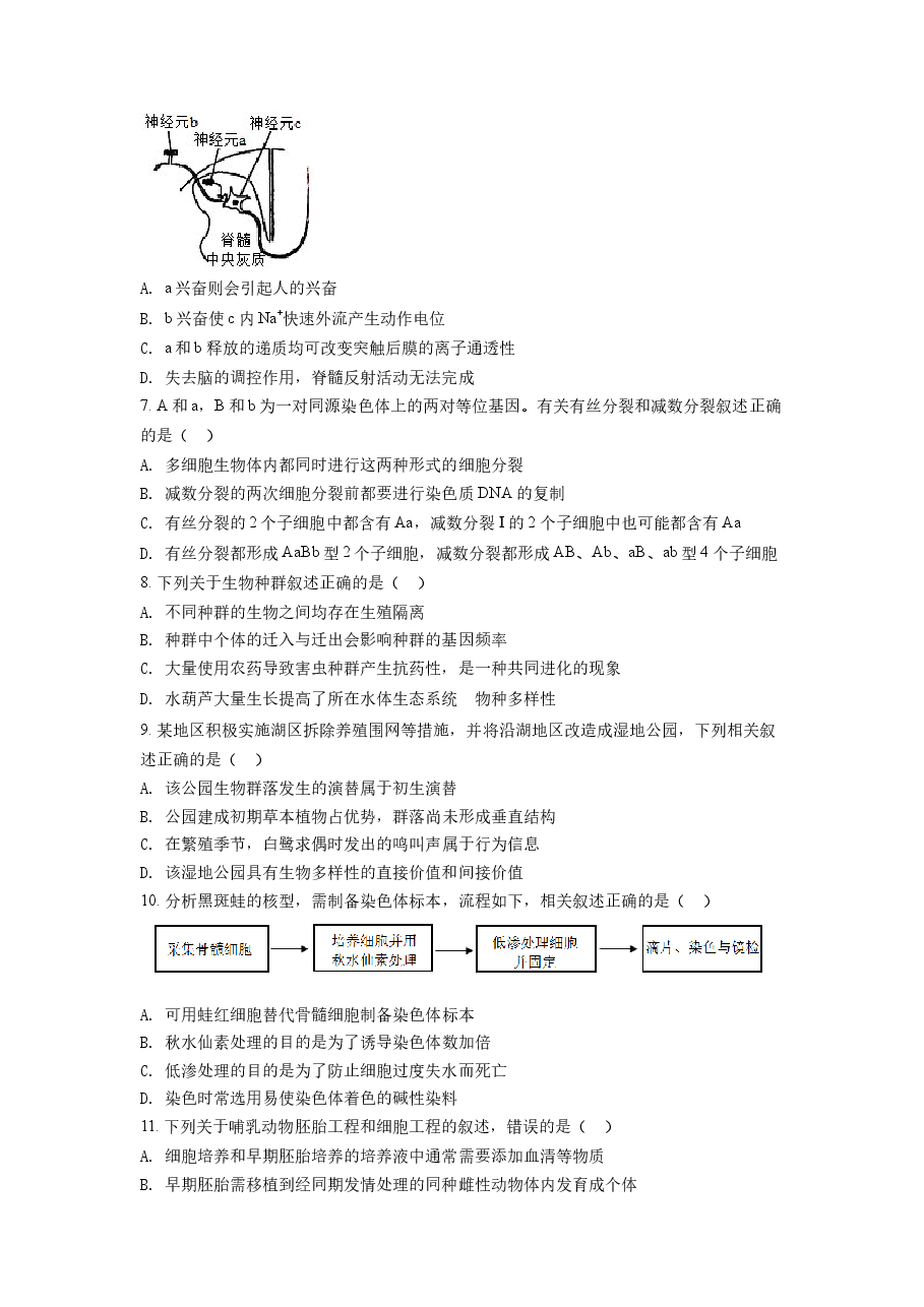精品解析:2021年新高考江苏生物高考真题(原卷版).docx,第2页预览