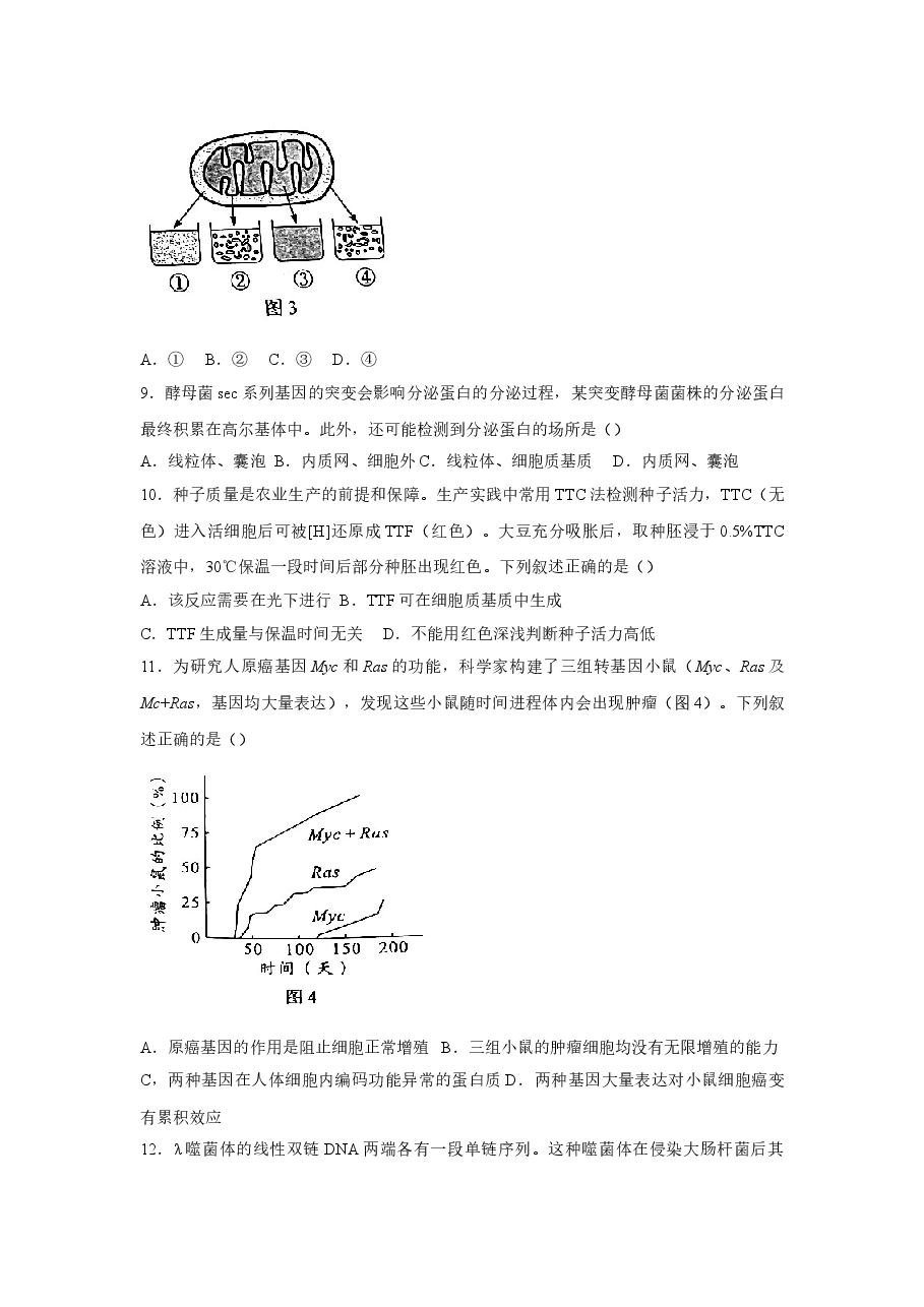 2022年高考真题——生物(广东卷) Word版(原卷).doc,第3页预览