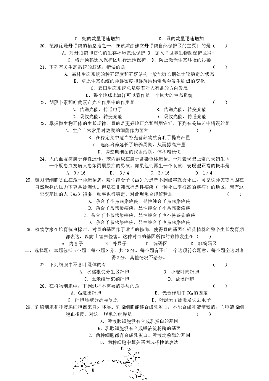 2004年江苏高考生物真题及答案.doc,第3页预览