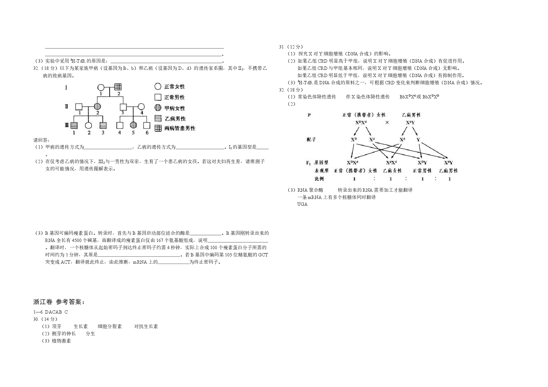 2011年浙江省高考生物(原卷版).docx,第2页预览