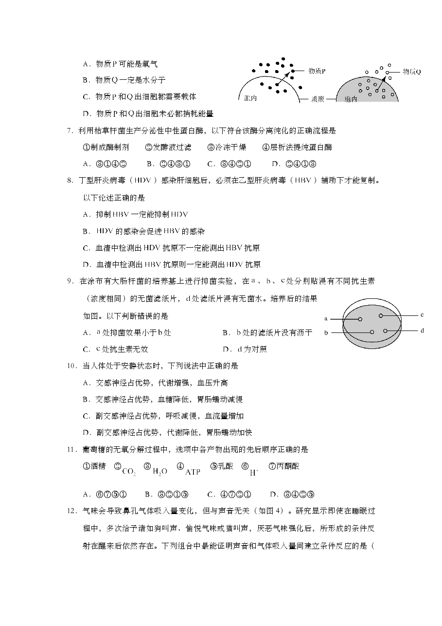 2015年上海市高中毕业统一学业考试生物试卷（原卷版）.doc，第2页预览