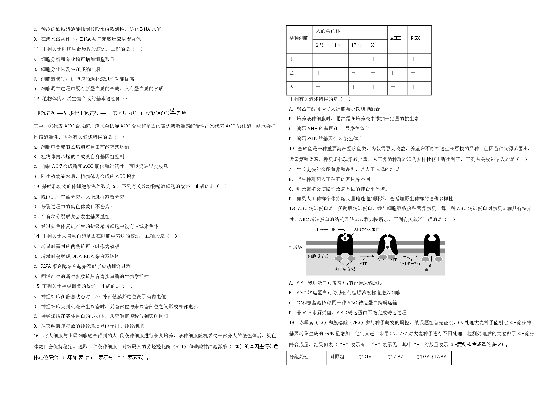 2020年高考海南卷生物试题及答案.doc，第2页预览