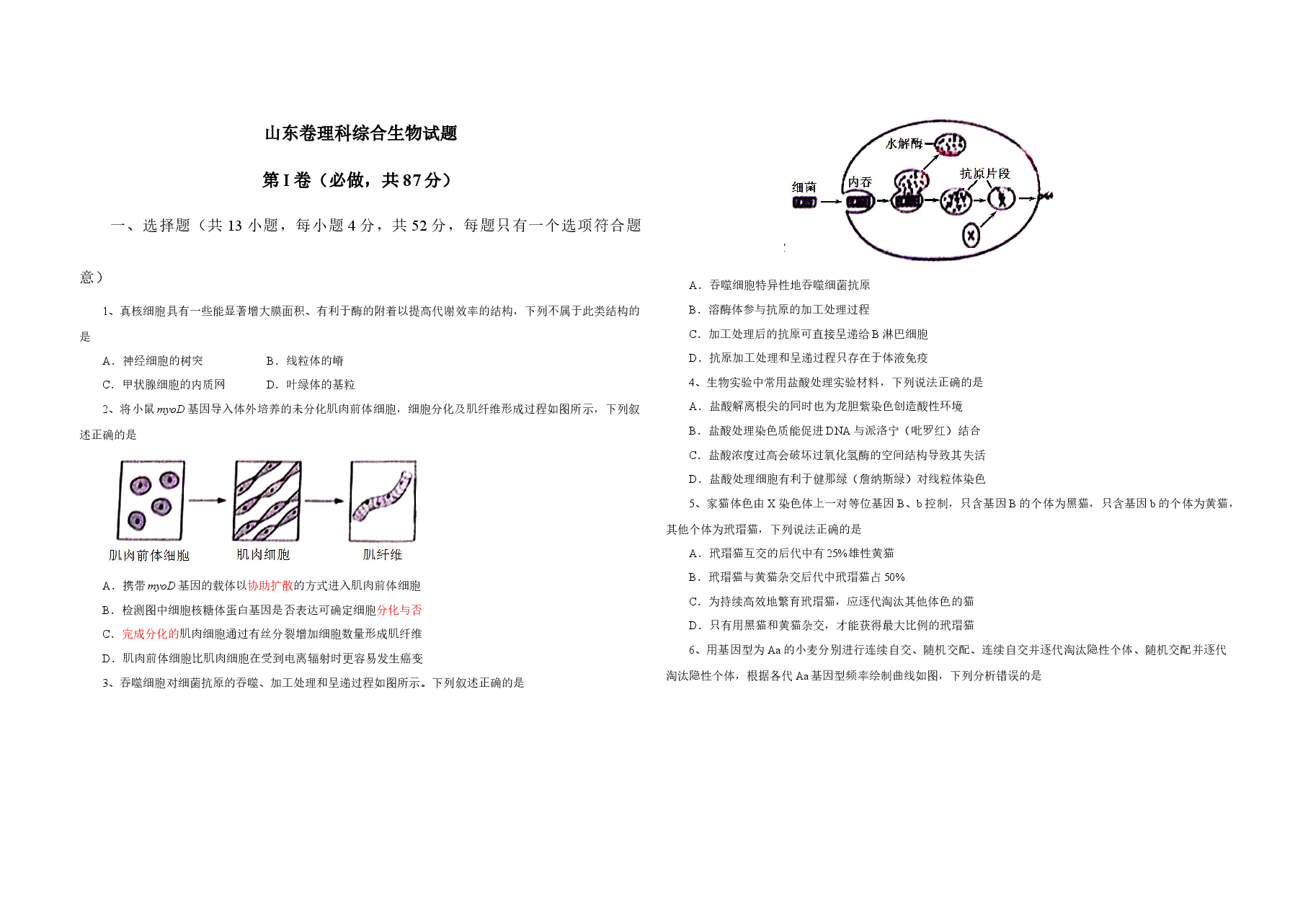 2013年高考真题 生物(山东卷)(原卷版).docx,第1页预览