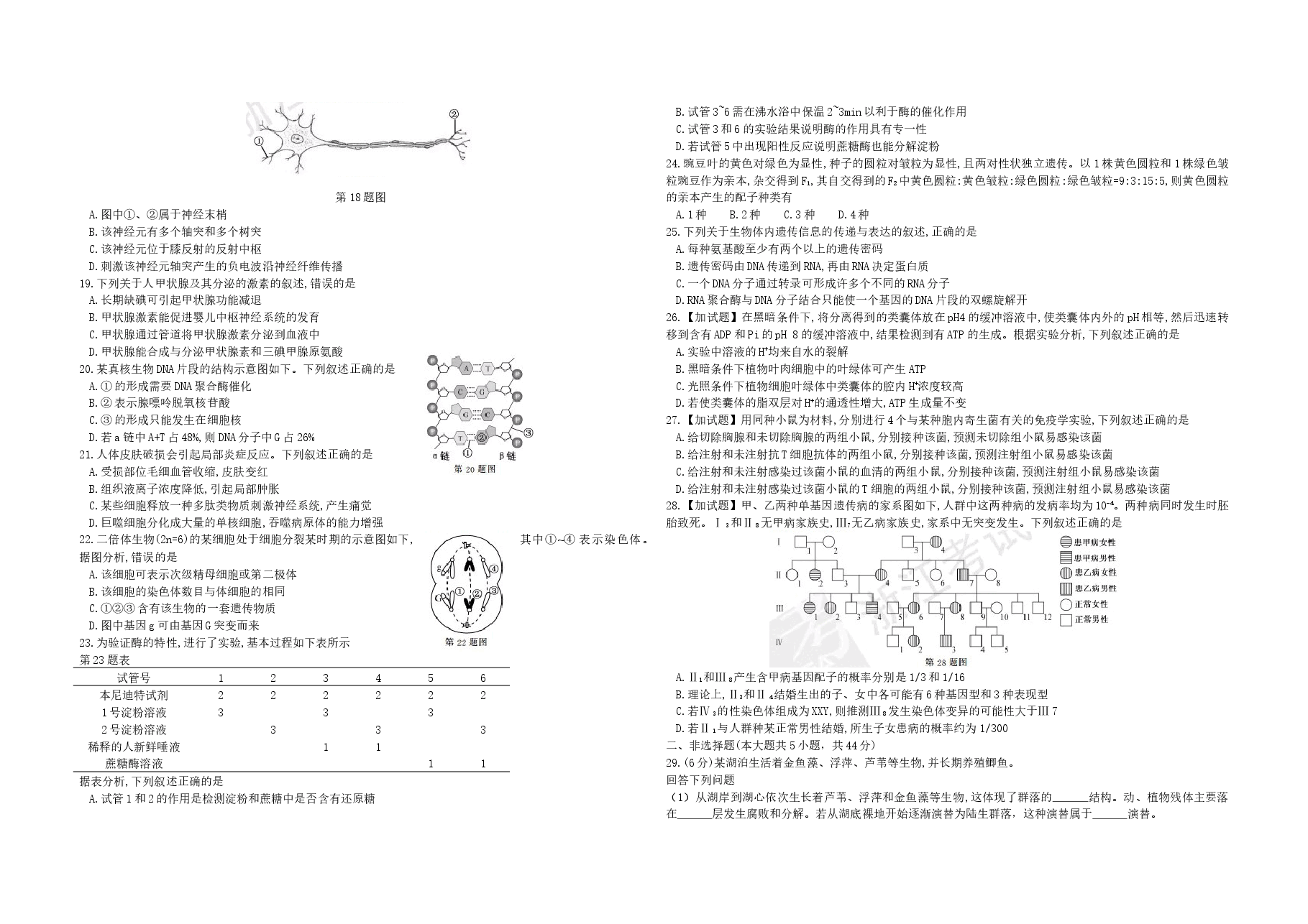 2017年浙江省高考生物【11月】(含解析版).docx,第2页预览
