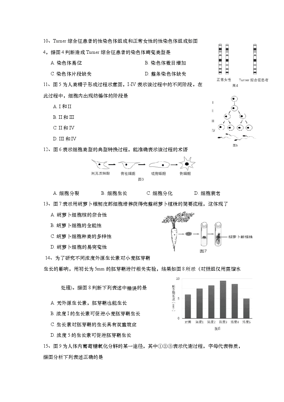 2017年上海市高中毕业统一学业考试生物试卷(答案版).docx,第3页预览