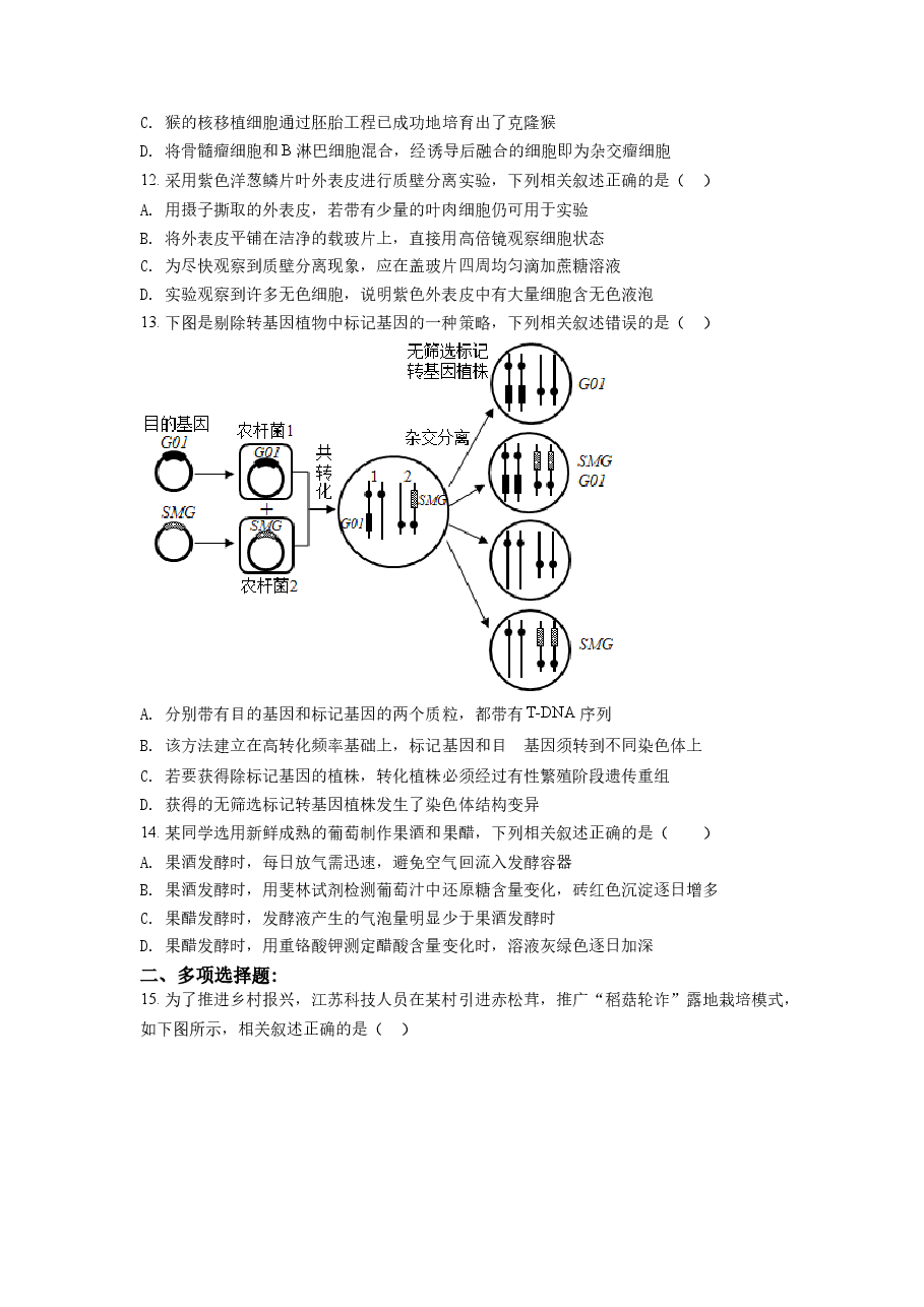 精品解析:2021年新高考江苏生物高考真题(原卷版).docx,第3页预览