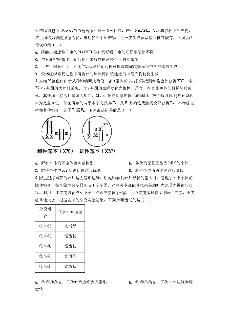 精品解析：2022年山东省学业水平选择性考试生物试题（原卷版）.docx，第2页预览