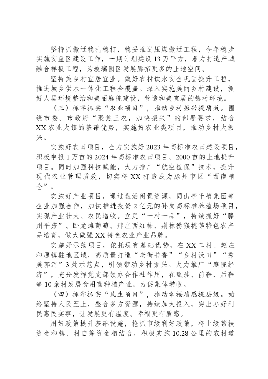 XX镇2024年工作计划.docx,第3页预览