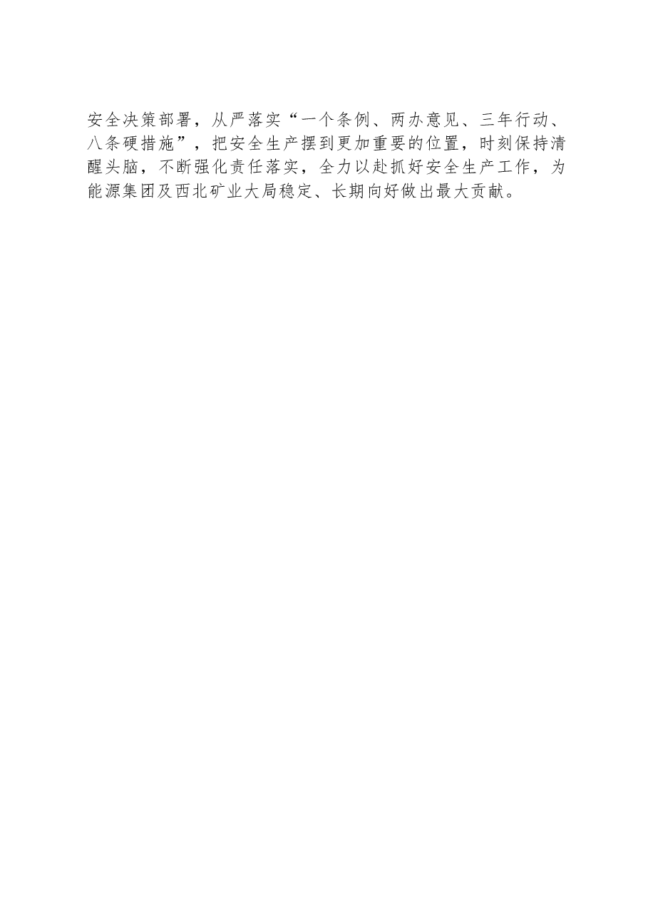 安全生产工作情况总结.docx，第4页预览