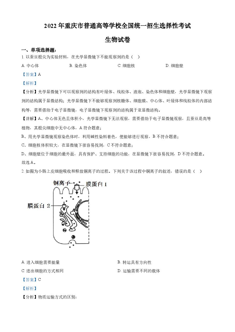 精品解析：2022年重庆市普通高等学校全国统一招生选择性考试生物试题（解析版）.docx，第1页预览
