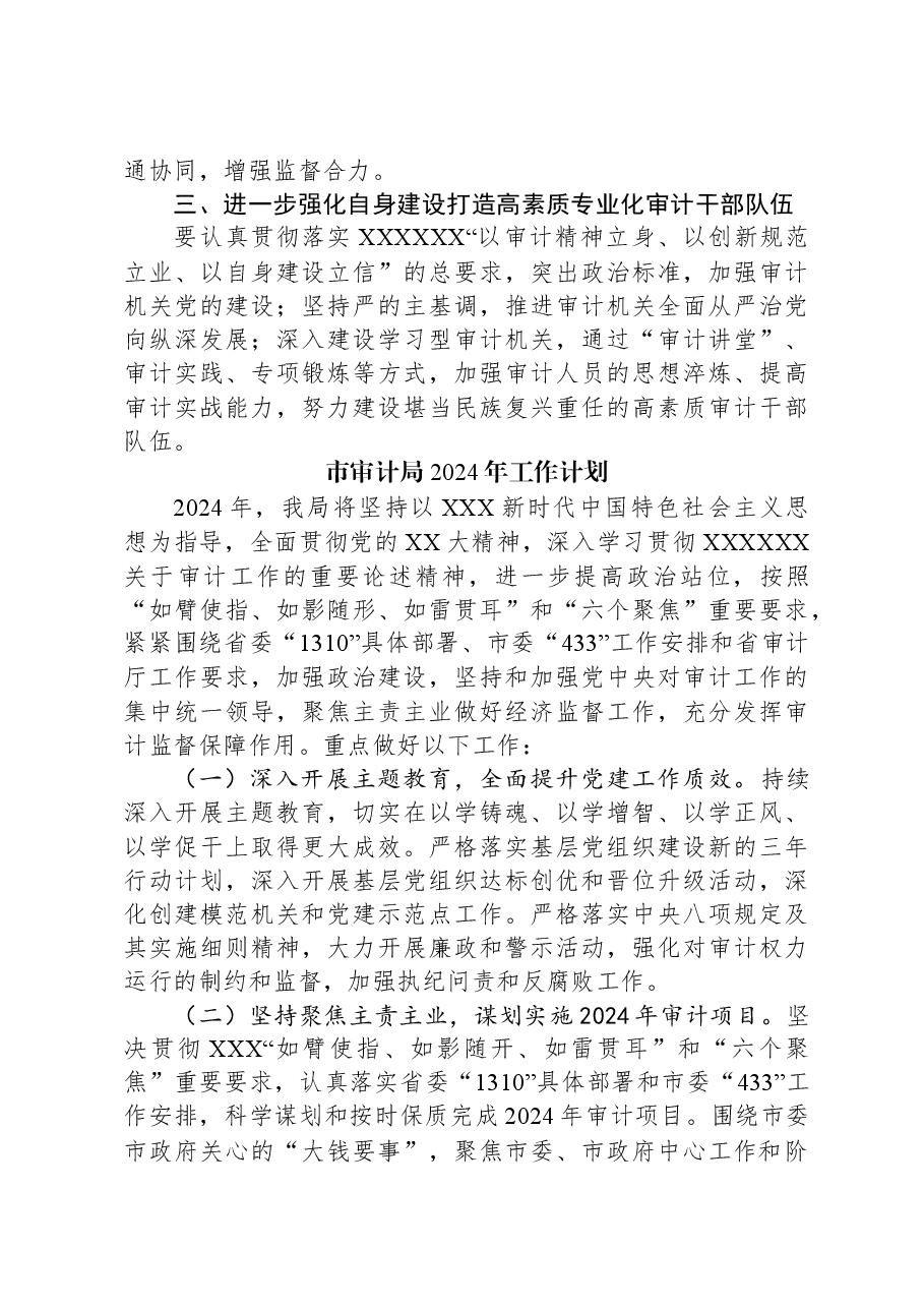 (3篇)审计局2024年工作计划汇编.docx,第3页预览