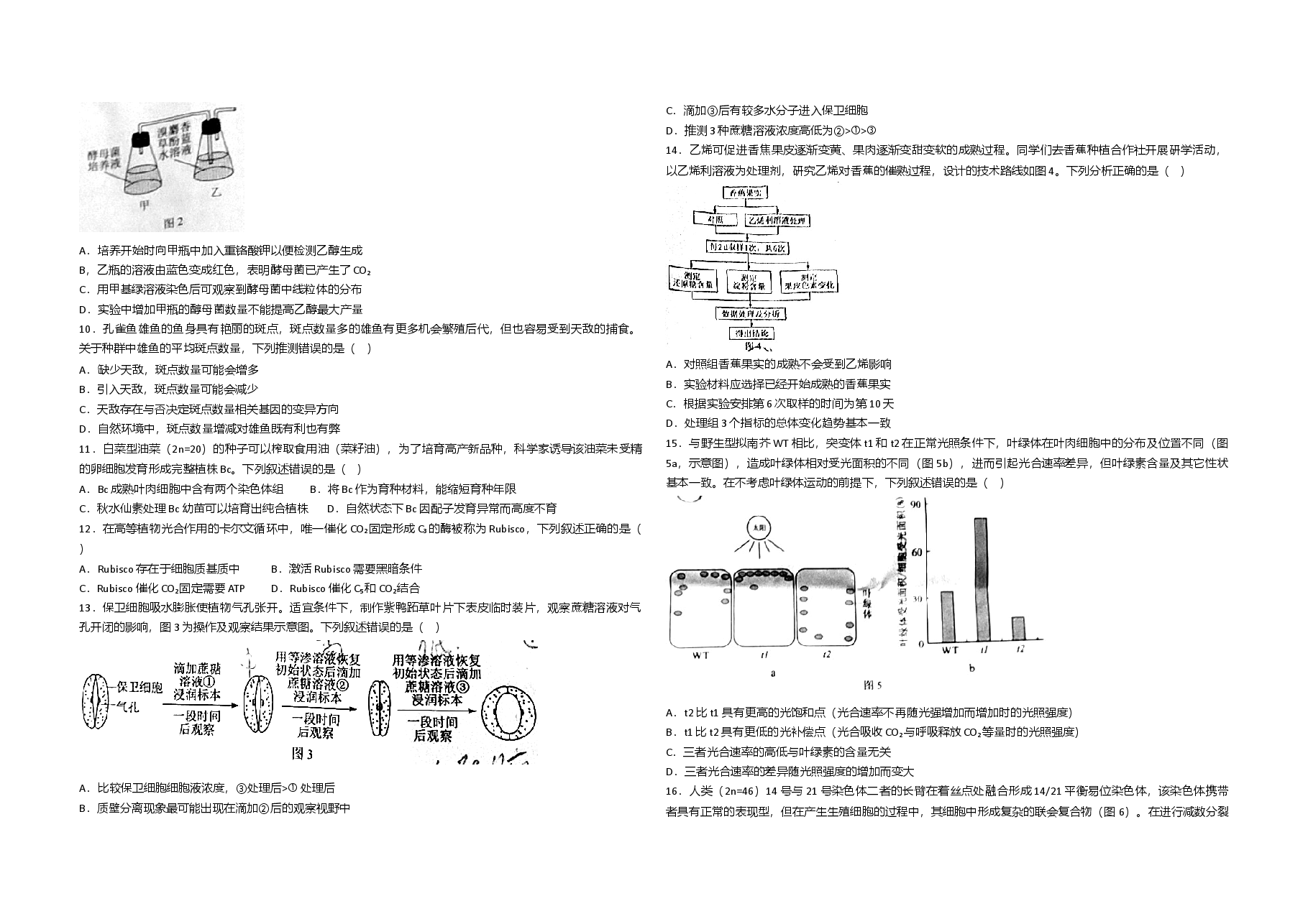 2021年广东高考生物(原卷版).doc,第2页预览