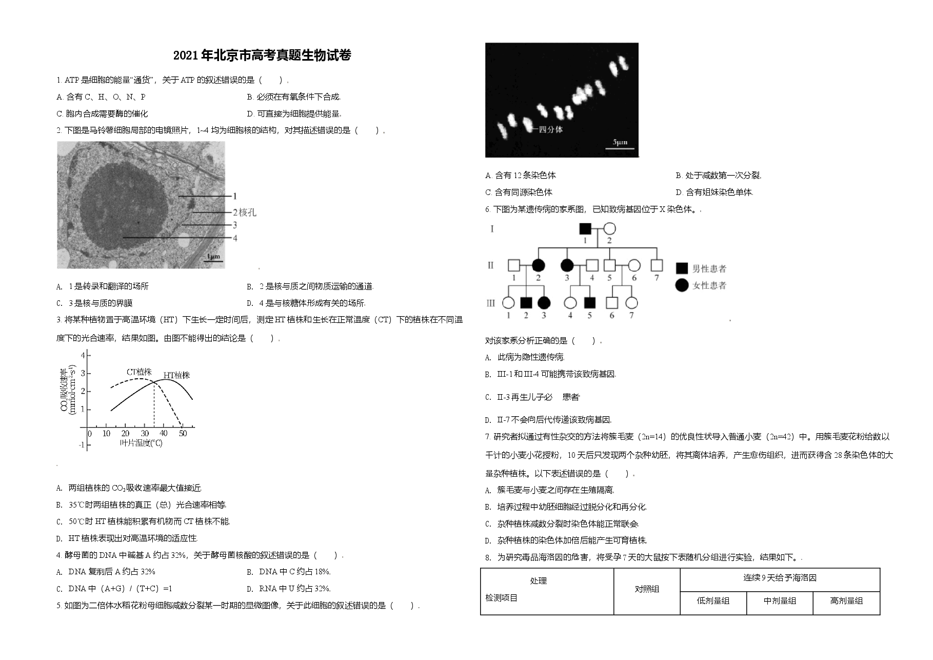 2021年北京市高考生物试卷(原卷版).doc,第1页预览