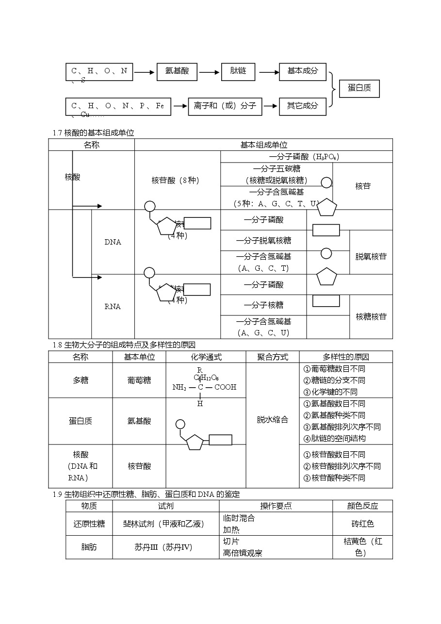 高中生物知识点总结(全).doc,第3页预览