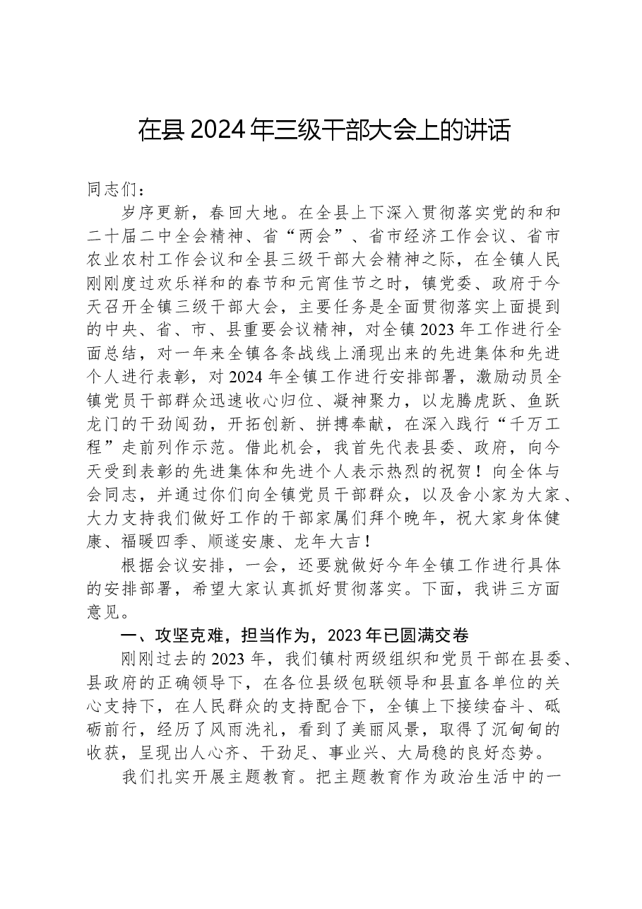 在县2024年三级干部大会上的讲话.docx,第1页预览