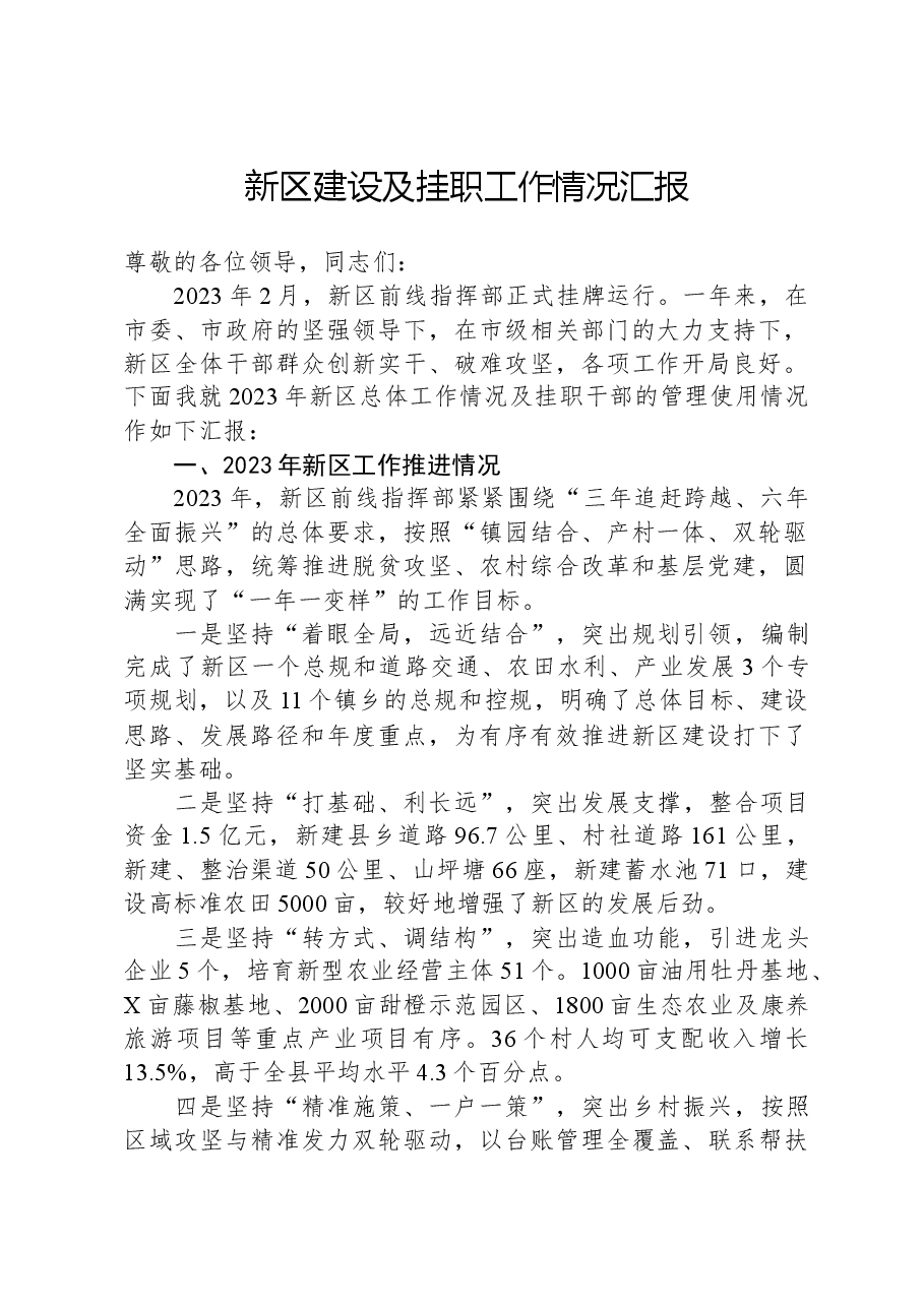 新区建设及挂职工作情况汇报.docx,第1页预览