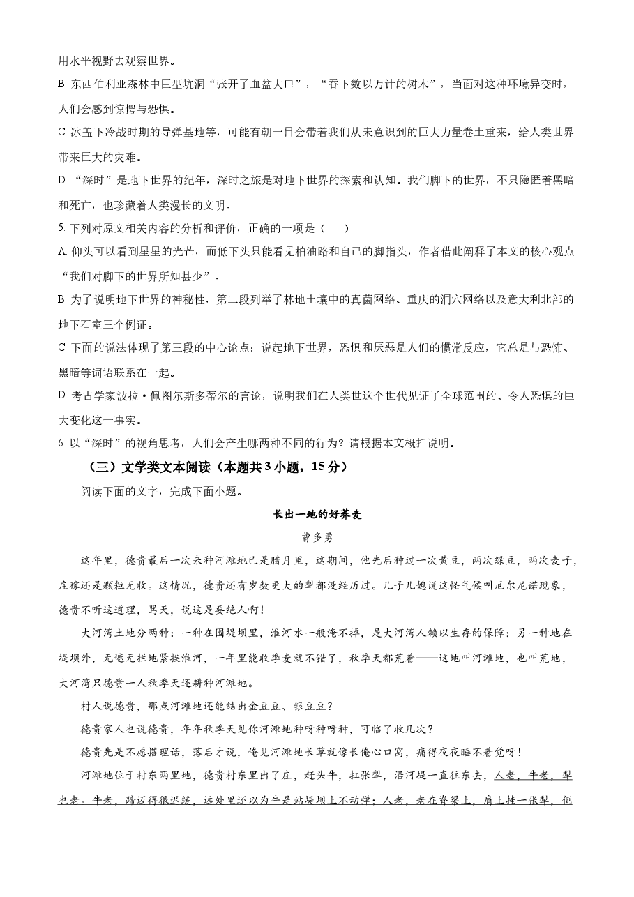 精品解析:2023年新高考全国乙卷语文真题(原卷版).docx,第4页预览