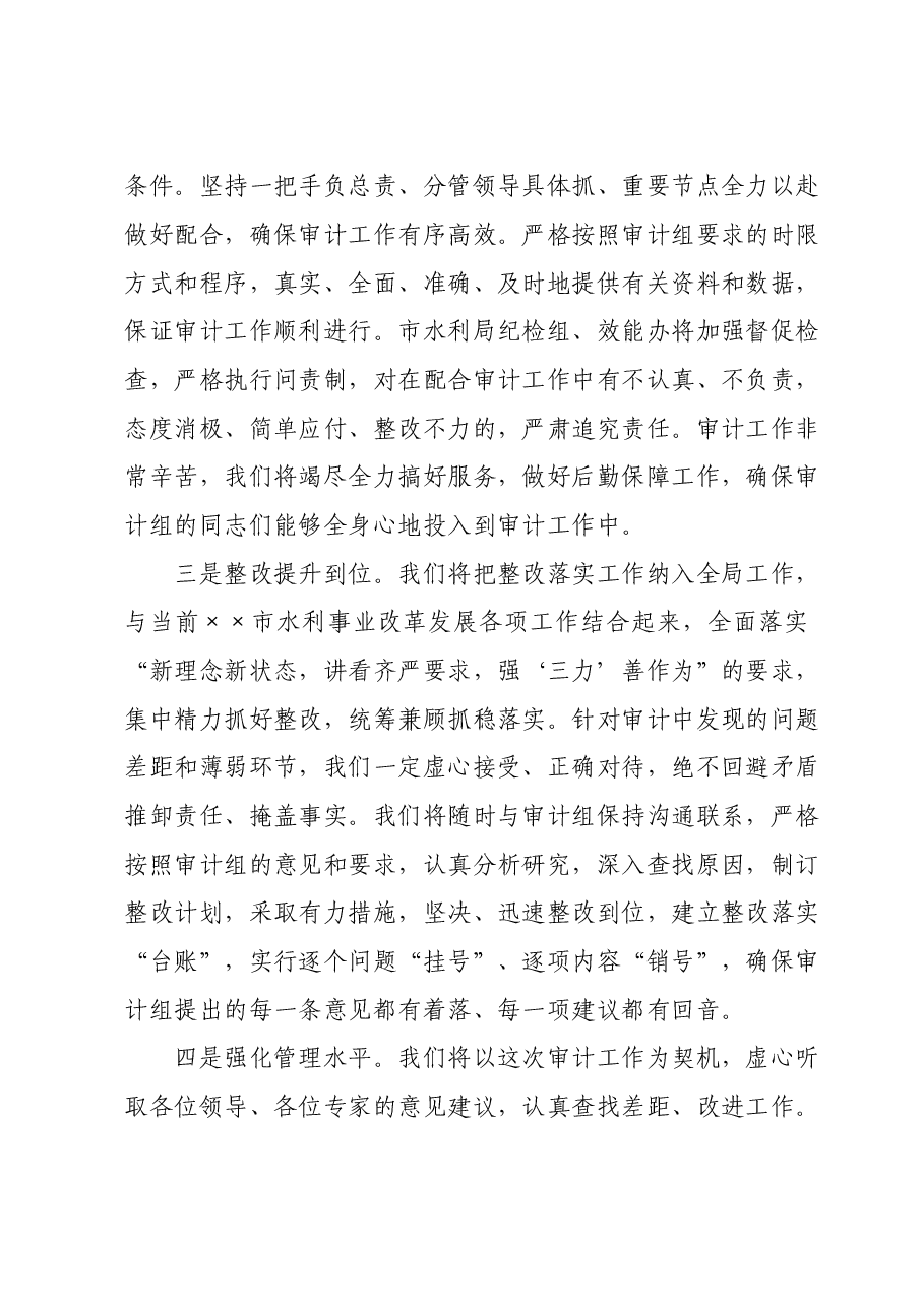 某市水利局经济责任审计表态发言.doc,第2页预览
