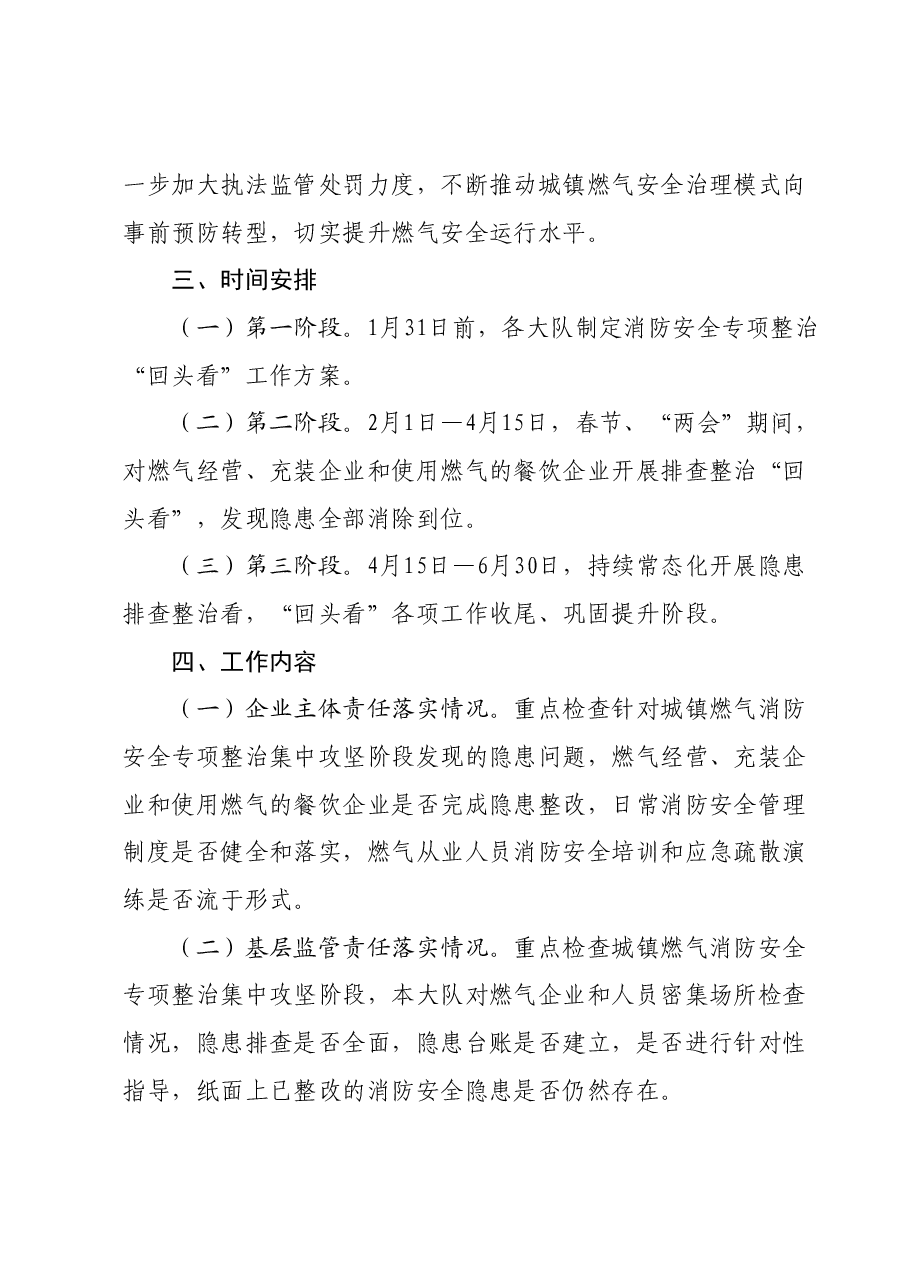 城镇燃气消防安全专项整治“回头看”工作方案.docx,第2页预览