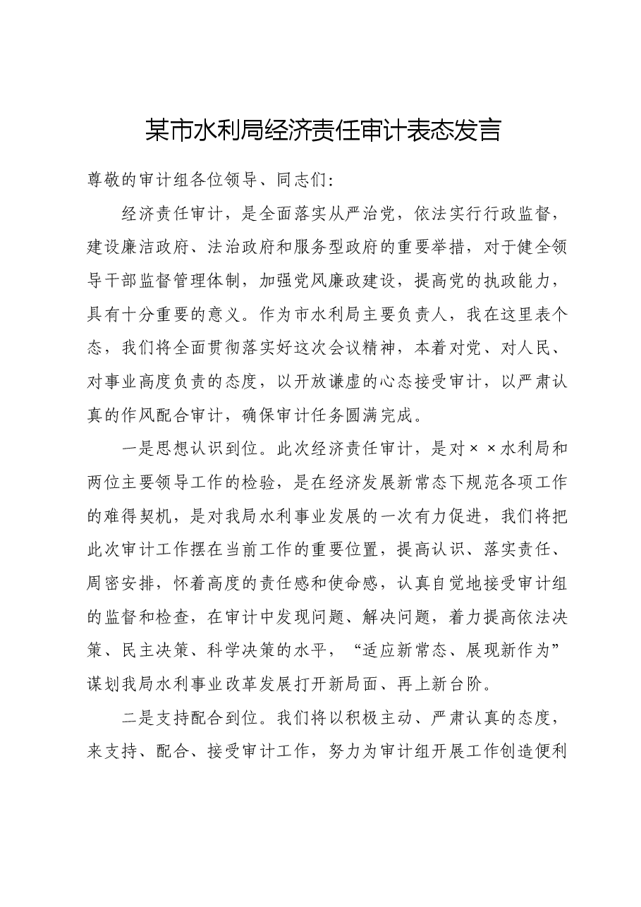 某市水利局经济责任审计表态发言.doc,第1页预览