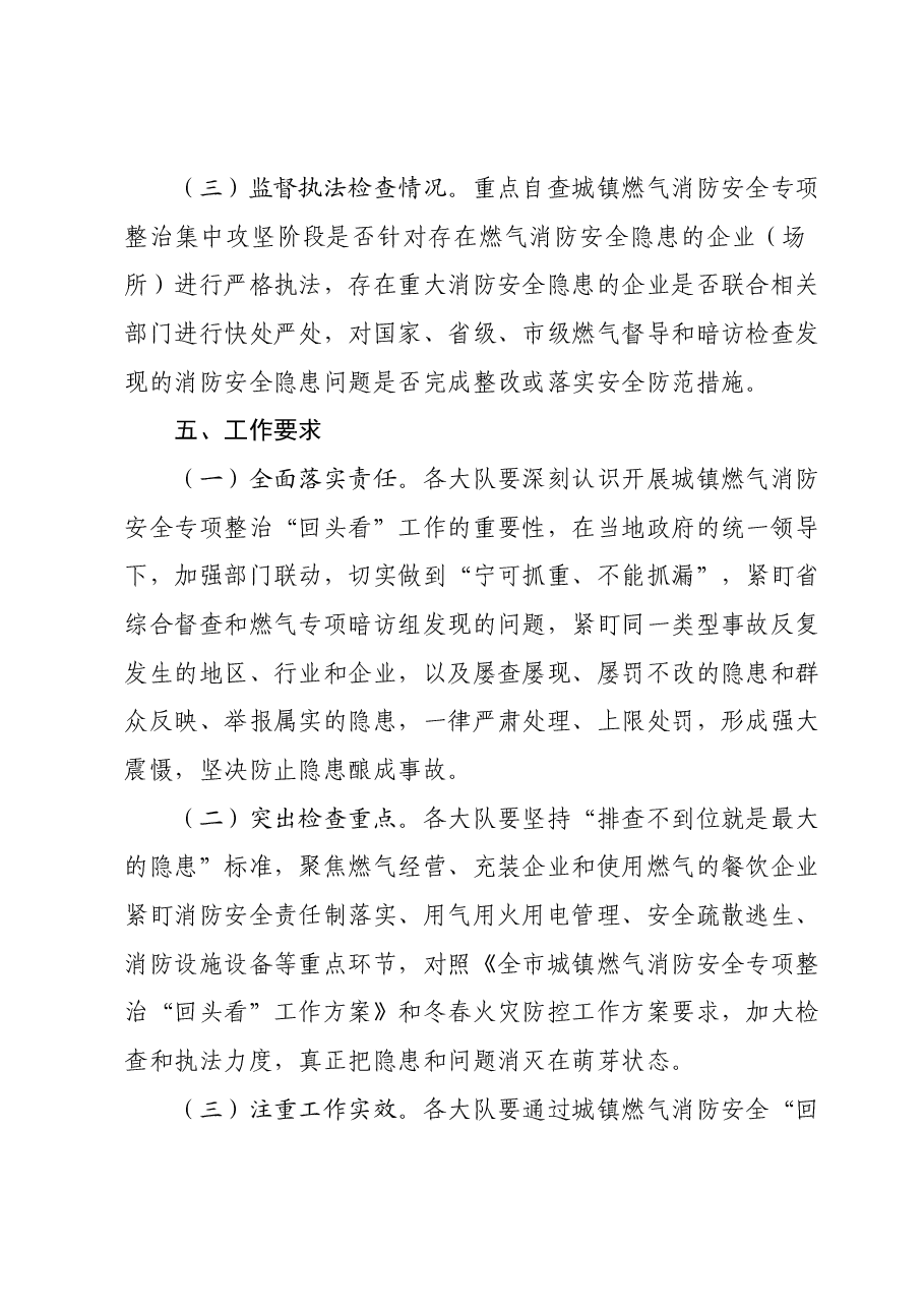 城镇燃气消防安全专项整治“回头看”工作方案.docx,第3页预览