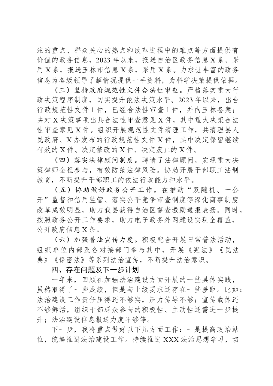 党员领导干部年度述法报告.docx,第3页预览