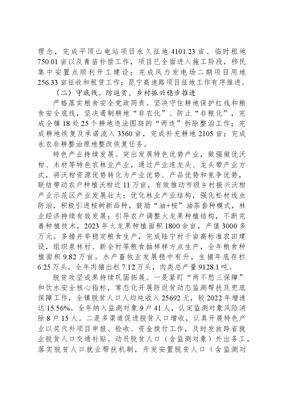 乡镇2024年党代会年会工作报告.docx,第2页预览