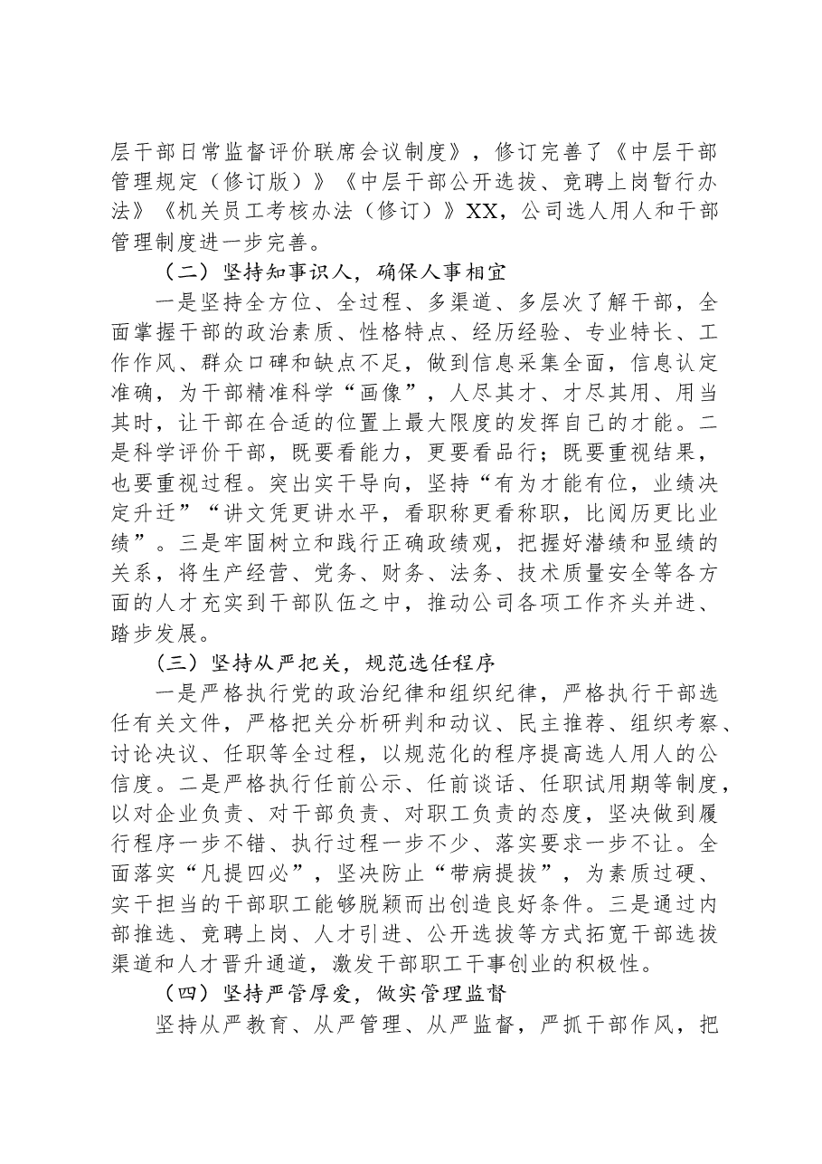 国企党委2023年度选人用人工作专题报告.docx,第2页预览