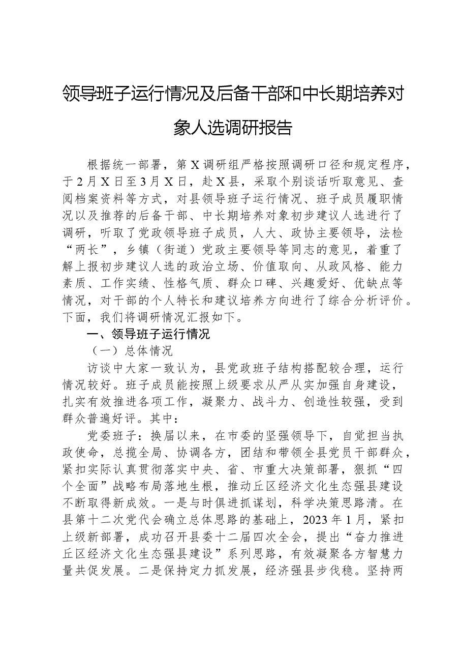 领导班子运行情况及后备干部和中长期培养对象人选调研报告.docx,第1页预览