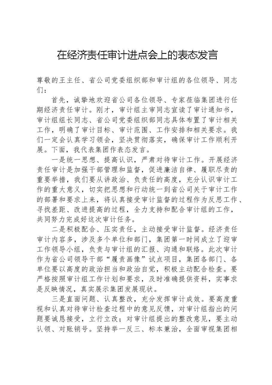 在经济责任审计进点会上的表态发言(集团公司).docx,第1页预览