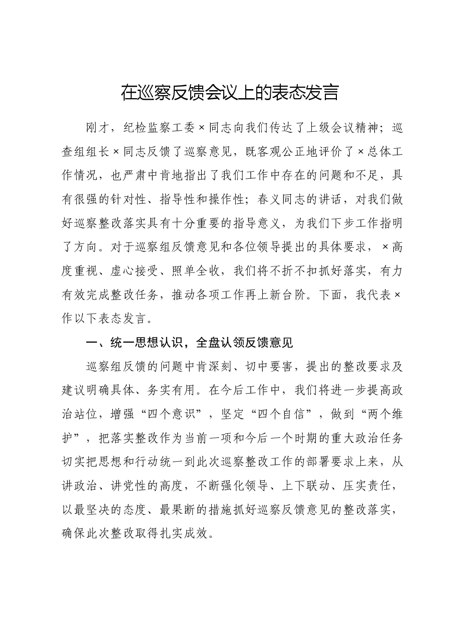 在巡察反馈会议上的表态发言.doc，第1页预览