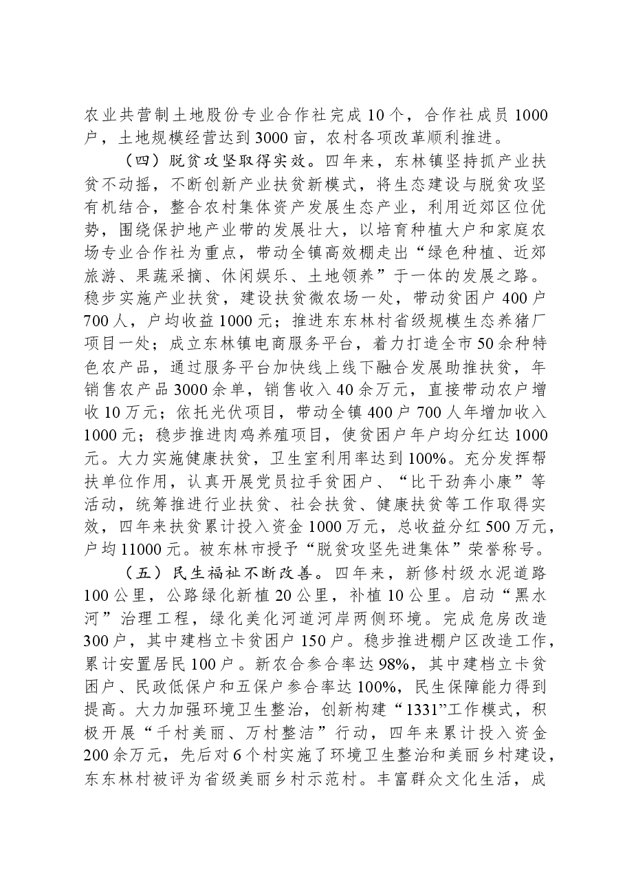 乡镇政府工作报告总结.docx，第3页预览
