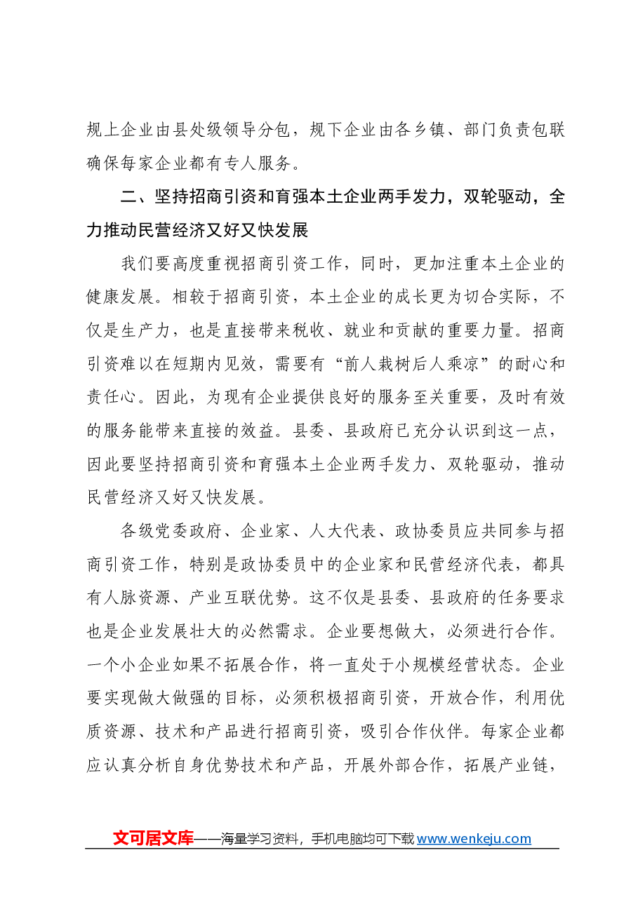 在县政协会议分组讨论上的讲话(民营经济).docx,第3页预览
