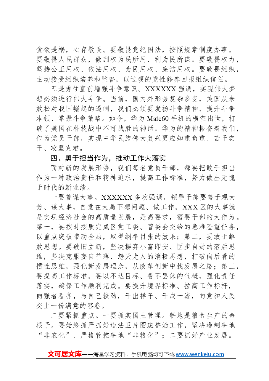 主题教育党课讲稿:凝心聚力勇担当砥砺奋进谱新篇为推动xx高质量发展贡献一份力量.docx,第4页预览