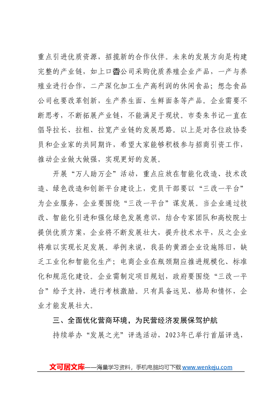 在县政协会议分组讨论上的讲话(民营经济).docx,第4页预览