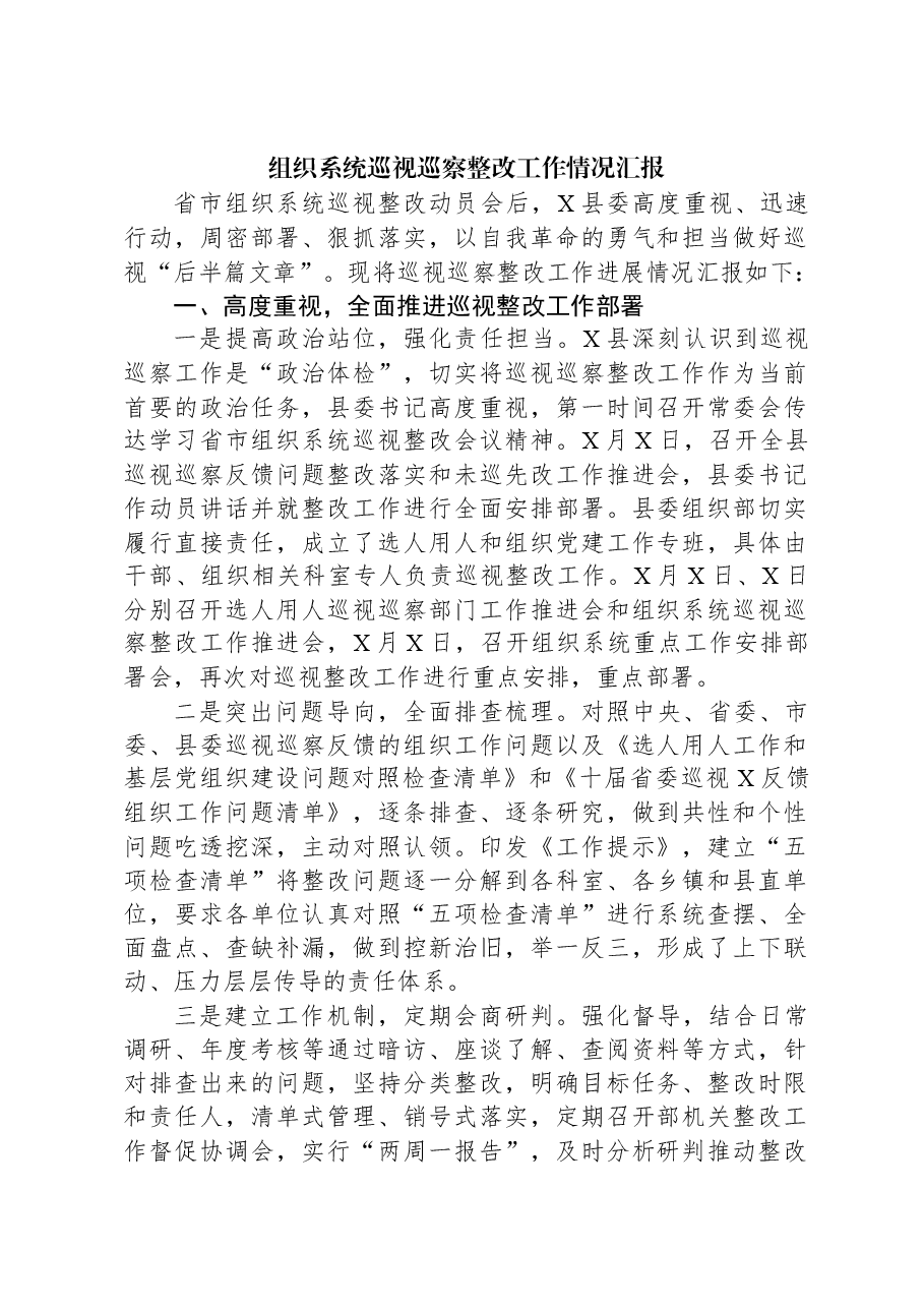 组织系统巡视巡察整改工作情况汇报.docx,第1页预览