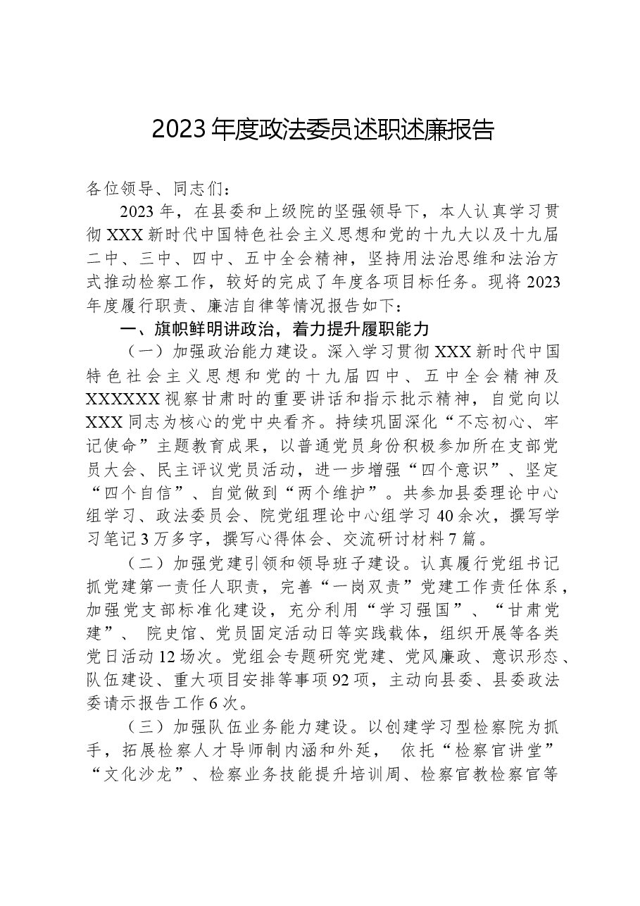 2023年度政法委员述职述廉报告.docx，第1页预览